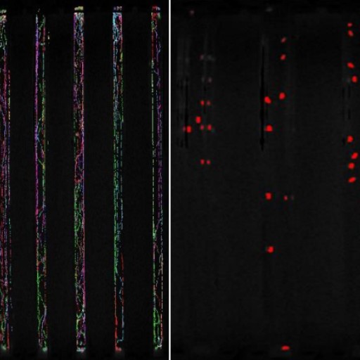 Image and Pattern Analysis